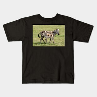 Zebra, Adult and Foal, Ngorongoro Crater, Tanzania Kids T-Shirt